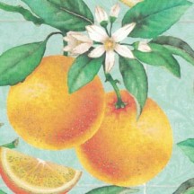 Oranges on Tiles Italian Paper ~ Kartos Italy